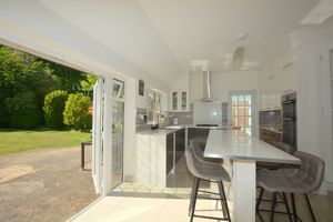 Photo 41- click for photo gallery